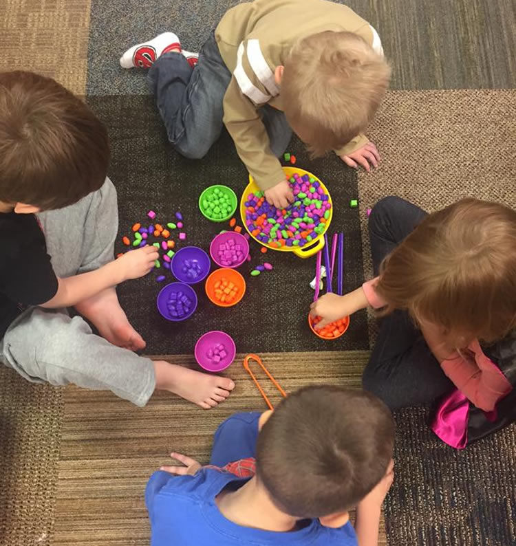 Sorting and Fine Motor